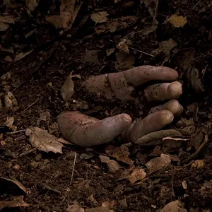 Desperate Housewives