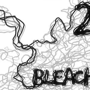 Bleach