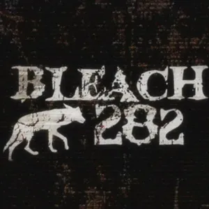 Bleach