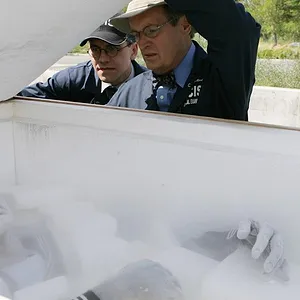 NCIS : Enquêtes spéciales