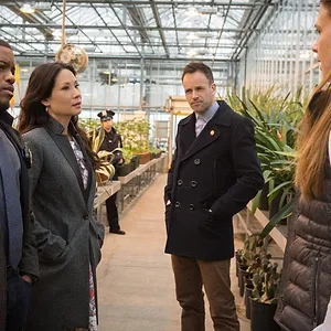 Elementary