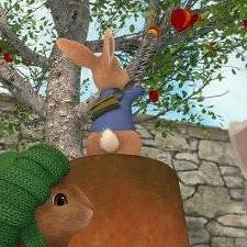Pierre Lapin