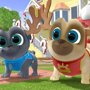 Le monde de Bingo et Rolly