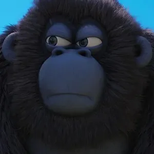 Les As de la Jungle à la rescousse !