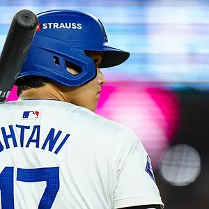 Fight for Glory: 2024 World Series