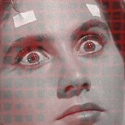 Le Cerveau, en bref