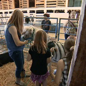 Michelle ou la vie sauvage