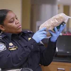 Ultimate Airport USA