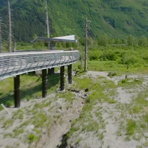 Michelle ou la vie sauvage