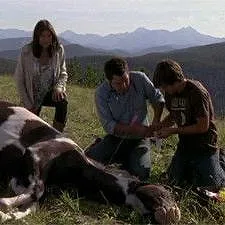 Heartland