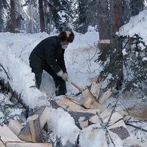 Seuls face à l'Alaska