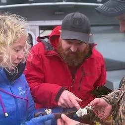 Pirate Gold of Adak Island