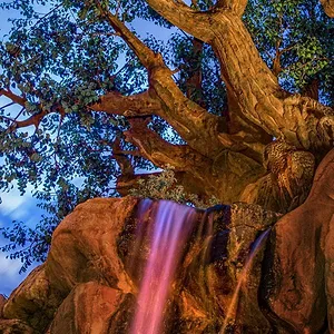 Disney Parks Sunrise Series