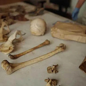 Disparus : À la recherche d'une identité