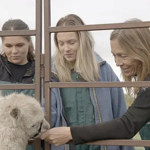 Michelle ou la vie sauvage