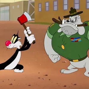Looney Tunes Cartoons