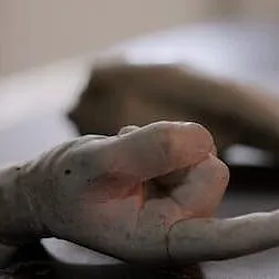 Survivre à la mort