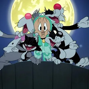 Looney Tunes Cartoons