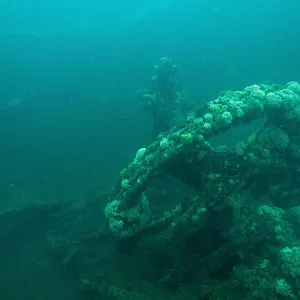 Hitler's American Battleground