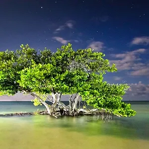 America's National Parks