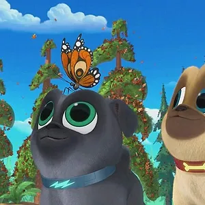 Le monde de Bingo et Rolly