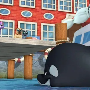 Le monde de Bingo et Rolly