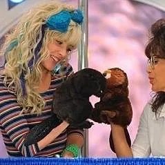 How I Met Your Mother