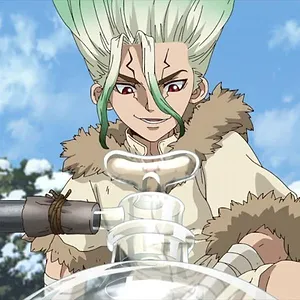 Dr. STONE