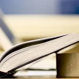 Zurück in die Steinzeit