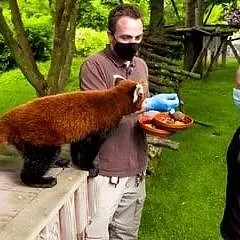 Expédition Pairi Daiza