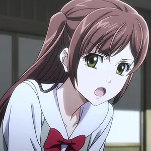SWORDGAI The Animation