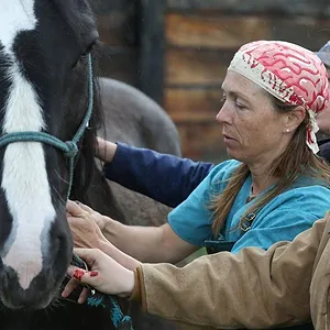 Michelle ou la vie sauvage