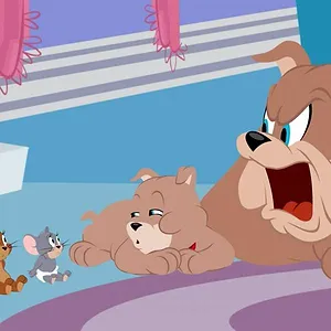 Tom et Jerry Show