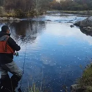 Les rois de la pêche