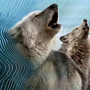 Le Monde secret du son avec David Attenborough