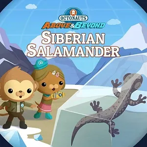 Les Octonauts : Mission Terre