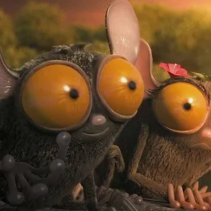 Les As de la jungle en direct