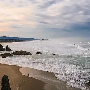 When Sharks attack...