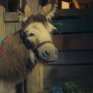 La Petite Ferme enchantée
