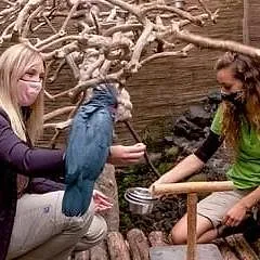 Expédition Pairi Daiza