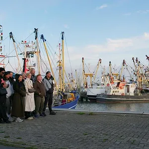Les stars sont dans le pré