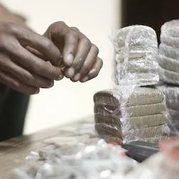 Narcoworld : Histoires de drogue