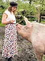 Sprechende Schweine