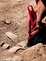 Hidden Beneath the Cities