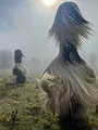 Bulgarie, les chasseurs de démons
