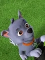 Paw Patrol S6 E4