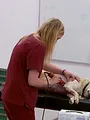 Vétérinaires, leur vie en direct