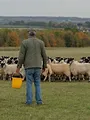 La ferme de Clarkson