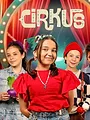 Cirkus