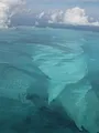 Triangle des Bermudes : l'énigme révélée